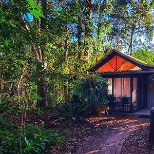 Rainforest Resort